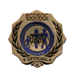 ECOSOC Seal