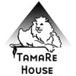 THP Logo